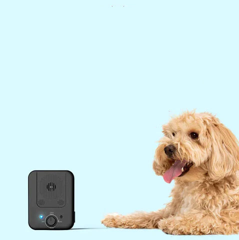 Noole™ Anti-blaf apparaat dat uw hond traint om niet te blaffen